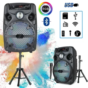 1100W Portable Bluetooth Party Speaker 8' Subwoofer